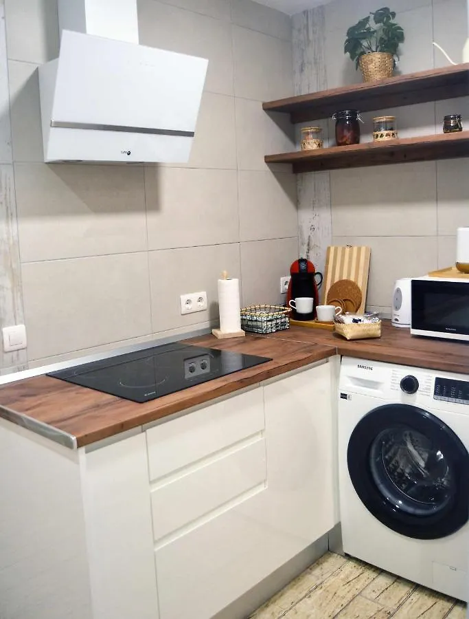 Apartment Apto Malaga Centro Historico Parking Priv Gratuito
